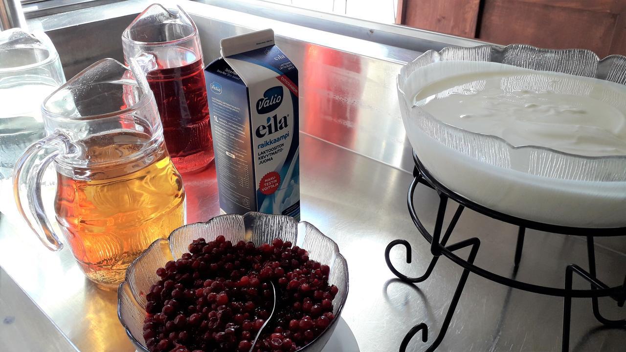 Kartanohostel Annacatharina Савонлина Екстериор снимка